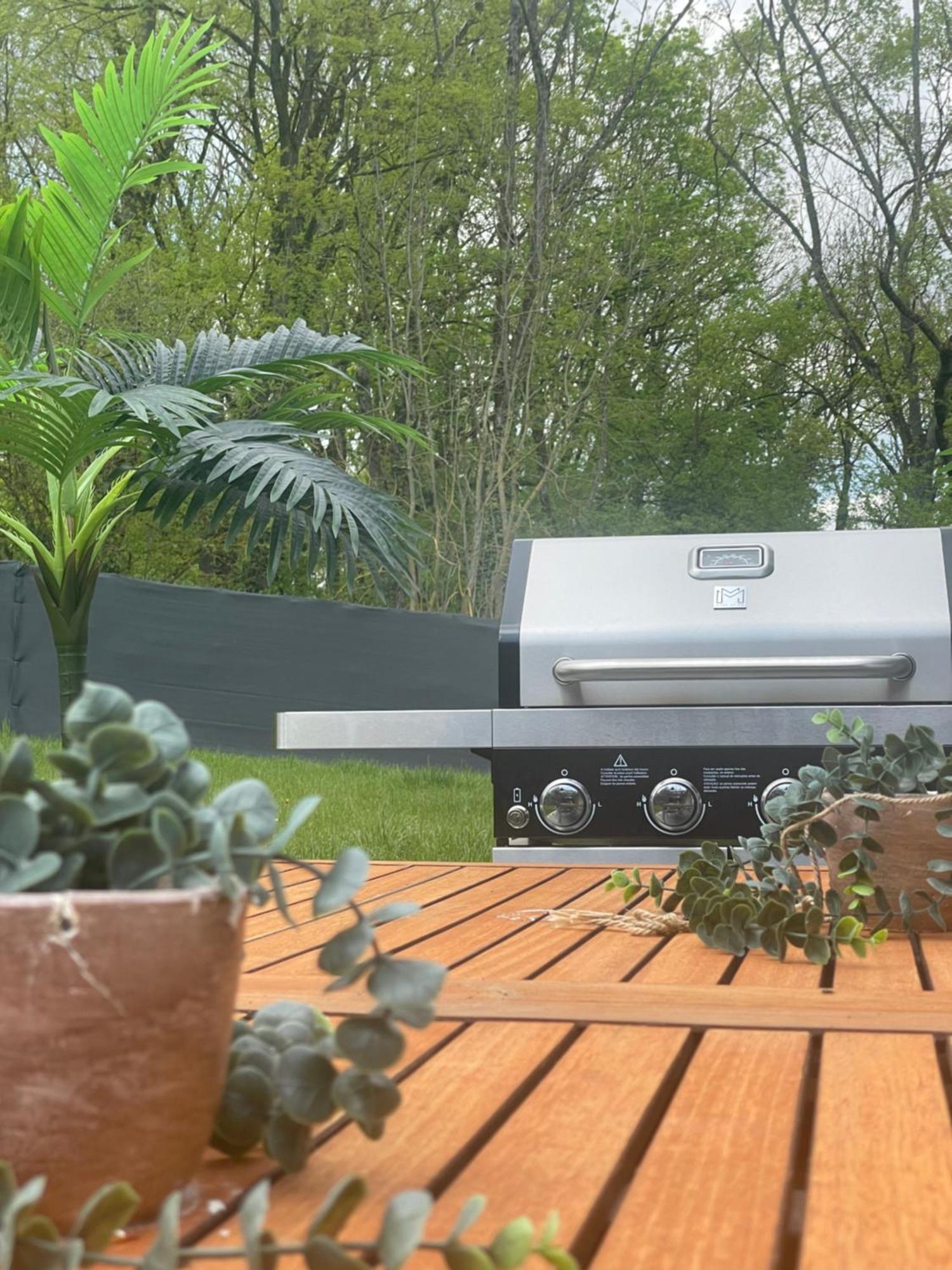 Sinalospa - Culiacan - Appartement Jardin Jacuzzi Sauna A 5 Minutes De Nancy Place Stanislas Champigneulles Exterior foto