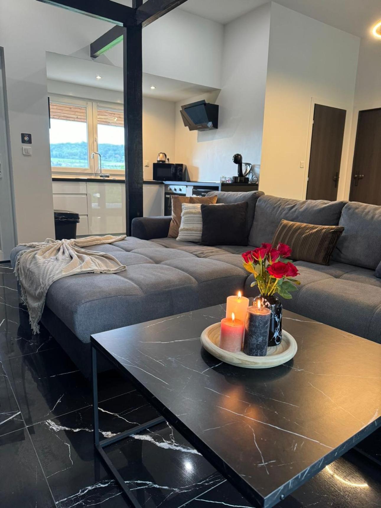 Sinalospa - Culiacan - Appartement Jardin Jacuzzi Sauna A 5 Minutes De Nancy Place Stanislas Champigneulles Exterior foto